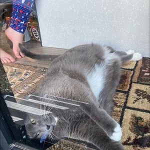 Meet your Posher, Michael